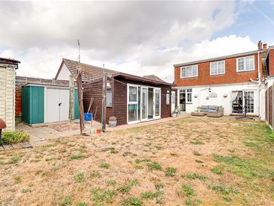 Picture 20